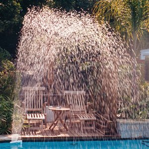 large image