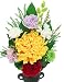 �y���������z�v���U�[�u�h�t�����[�E���莝���̉ԗ��ėp�͂�Ȃ����ԁy�؂̕��ԁz
