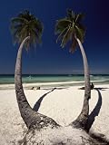 Beach on West Coast of Holiday Island off the Coast of Panay, Boracay, Philippines Photographic Poster Print by Robert Francis, 30x40