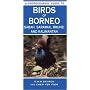 A Photographic Guide to Birds of Borneo