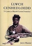 Llwch cenhedloedd : y Cymry a Rhyfel Cartref America