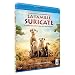 La Famille suricate [Blu-ray]