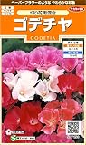サカタのタネ 実咲花7190 ゴデチヤ 切り花用混合 00907190