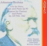 Brahms: Trio for Horn, Violin & Piano, Op. 40; Clarinet Sonatas