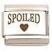 Spoiled Italian Charm Stainless Steel 9mm