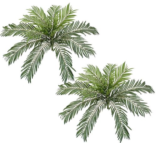 TWO 36″ (diameter) Cycas Palm Artificial Silk Plants
