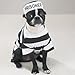 Casual Canine Prison Pooch Costume, Large
