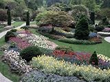 Tulips in the Butchart Gardens, Vancouver Island, Canada, British Columbia, North America Photographic Poster Print by Alison Wright, 18x24