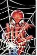 Spider-Man - Marvel Comics Poster (Spidey In Web) (Size: 22" x 34")