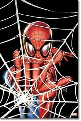 Spider-Man - Marvel Comics Poster (Spidey In Web) (Size: 22" x 34")