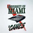 Miami Hurricanes NCAA Vertical Flag (27x37) by Wincraft