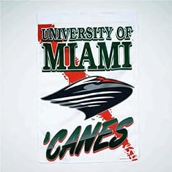 Miami Hurricanes NCAA Vertical Flag (27x37) by Wincraft