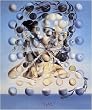 Artist Salvador Dali Fine Art Poster Print of Painting Galatea of the Spheres