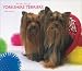 yorkshire terrier - Yorkshire Terriers, For the Love of 2008 Deluxe Wall Calendar