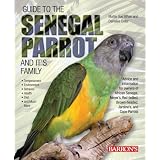 Guide to the Senegal Parrot and Its Family