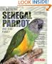 Guide to the Senegal Parrot and Its Family
