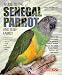 Guide to the Senegal Parrot and Its Family