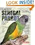 Guide to the Senegal Parrot and Its Family