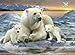 Ravensburger Polar Bears 200 Piece Jigsaw Puzzle for Kids – Every Piece is Unique, Pieces Fit Together Perfectly
