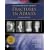 Rockwood and Green's Fractures in Adults: Rockwood, Green, and Wilkins' Fractures, 2 Volume Set