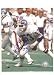 Randy Gradishar Autographed Denver Broncos 8x10 Photo