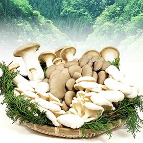 ���Y�ҎY���̃G�����M �Ђ炽���̃J�S���� �m5�l�O�n