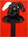 Shadow Head Cover