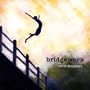 Jumping Off the High Bridge