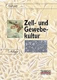 Image de Zell- und Gewebekultur