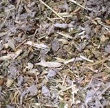 51bCGbLxJNL. SL160  Hot Flash Herbal Tea One Ounce Reviews