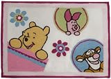 Disney Pooh Spring Friends 30"x40" Rug