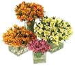 Send Fresh Cut Flowers - 50 Peruvian Lilies