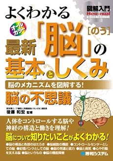 図解入門 よくわかる最新「脳」の基本としくみ (How‐nual Visual Guide Book)