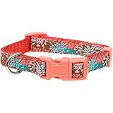 UPC 800443939178 product image for Petco Pink Elephants Nylon Adjustable Dog Collar, For Necks 16