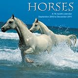 2011 Animal Calendars: Horses - 16 Month - 30x30cm