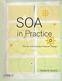 SOA in Practice: The Art of Distributed System Design (Theory in Practice)