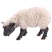 Sheep Garden Ornament Head Down Grazing 21cm