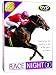 Horse Race Night 1
