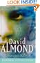 Heaven Eyes (Hodder Literature)