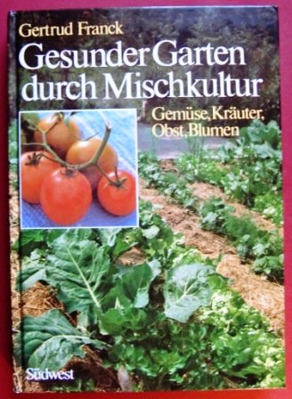Gemüse Und Kräuter Im Garten