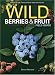 Wild Berries & Fruits Field Guide of Minnesota, Wisconsin and Michigan