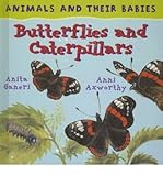Butterflies and caterpillars