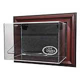 San Francisco 49ers Football Case-Up Display