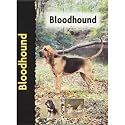 Bloodhound Dog Breed Book