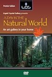 A Day in the Natural World
