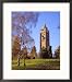 Cabot Tower, Bristol, UK Collections Framed Photographic Poster Print by Tony Howell, 25x25
