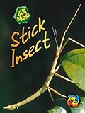 Stick insect