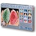 Space Age Crystals: 13 Crystals