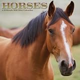 Horses 2010 Mini Calendar