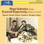 Klassische und Romantische Lieder zur Gitarre (Classical and Romantic Songs for Guitar) (Novalis)